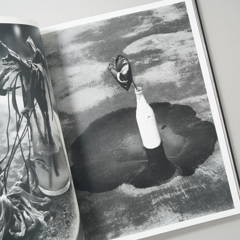 花人生 特別装丁版 / 荒木経惟(Nobuyoshi Araki) | bookobscura