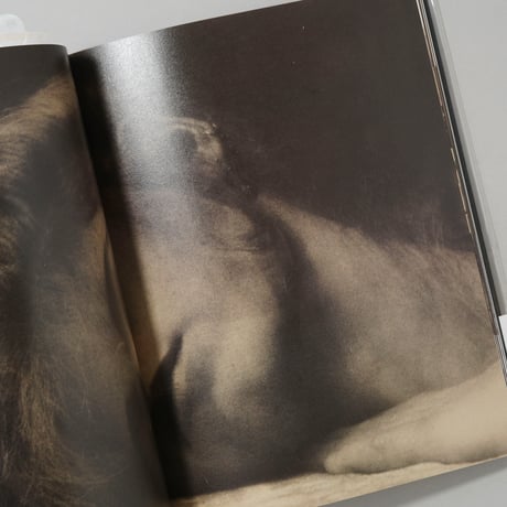 DEBORAH TURBEVILLE Les amoureuses du temps passe / Deborah Turbeville(デボラ・ターバヴィル)