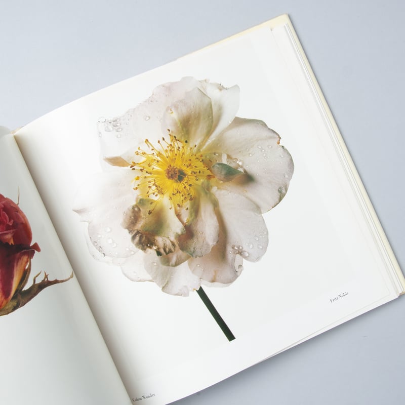 Flowers / Irving Penn(アーヴィング・ペン) | book obscura...