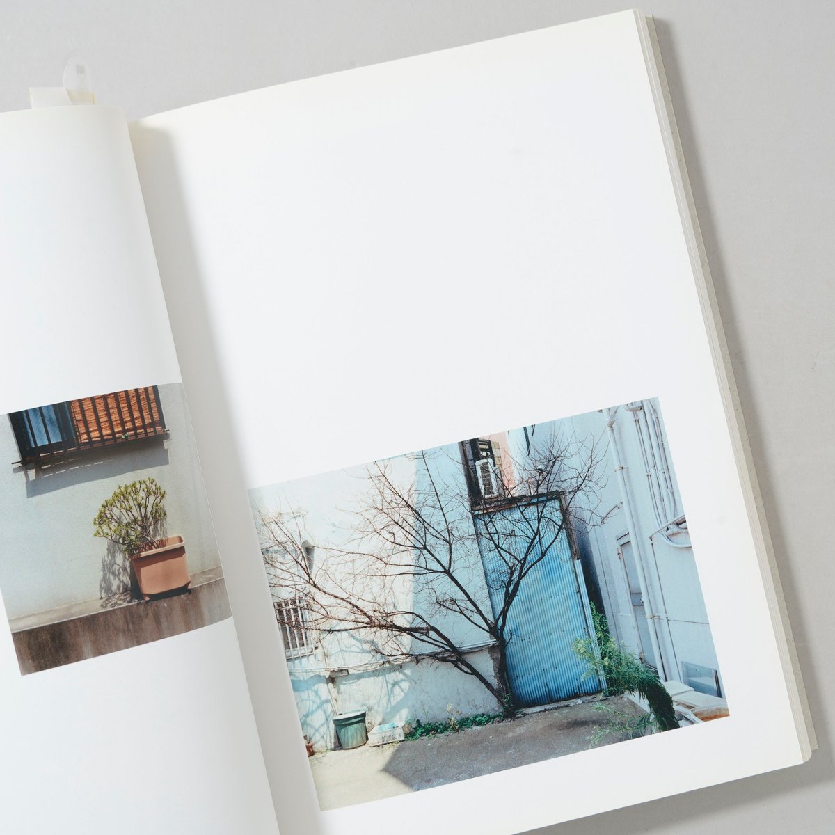 高木康行氏作品（木製フレーム付き） 植木 / 高木康行(Yasuyuki Takagi) | bookobscura｜写真集専門書