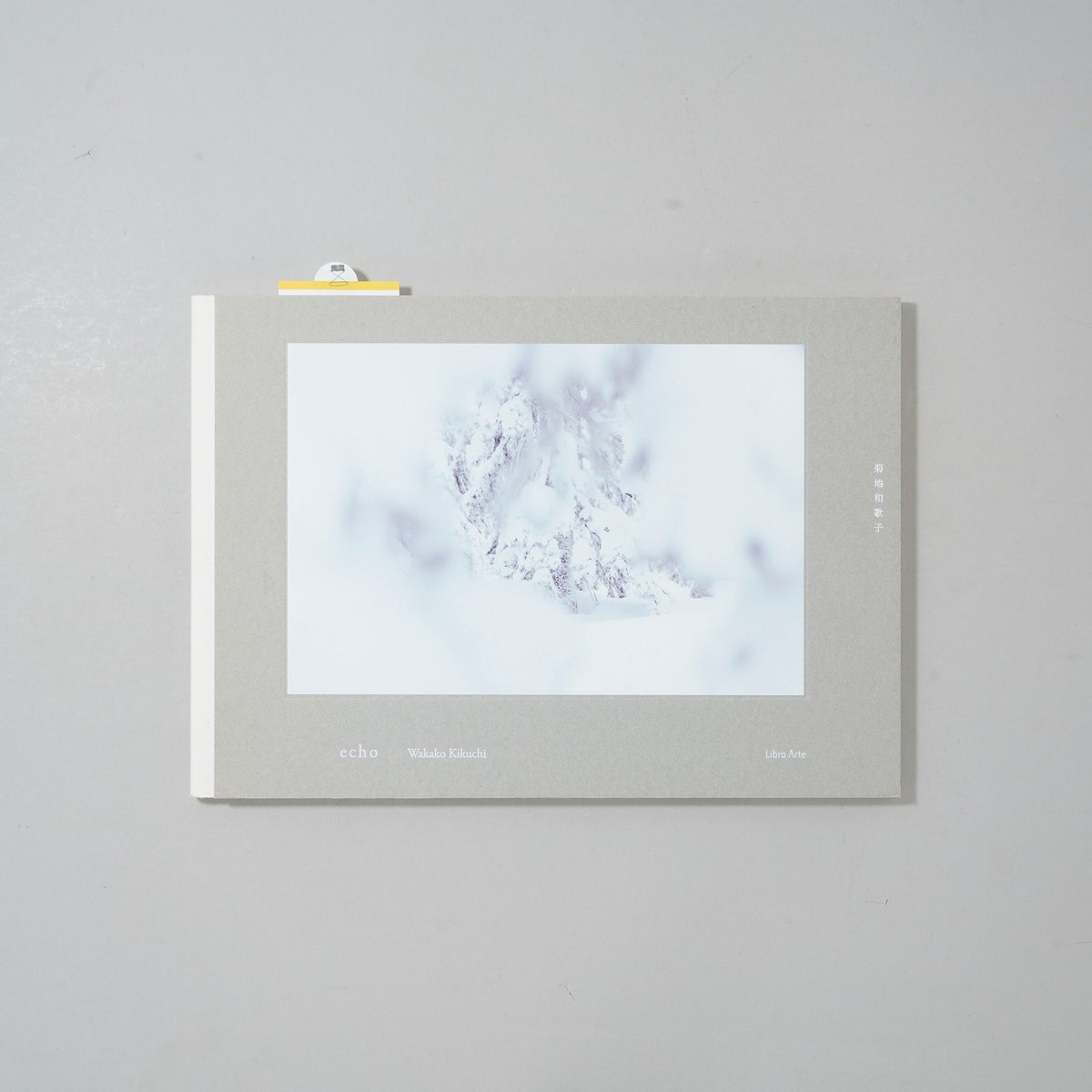 echo / 菊池和歌子(Wakako Kikuchi) | bookobscura｜写真集専