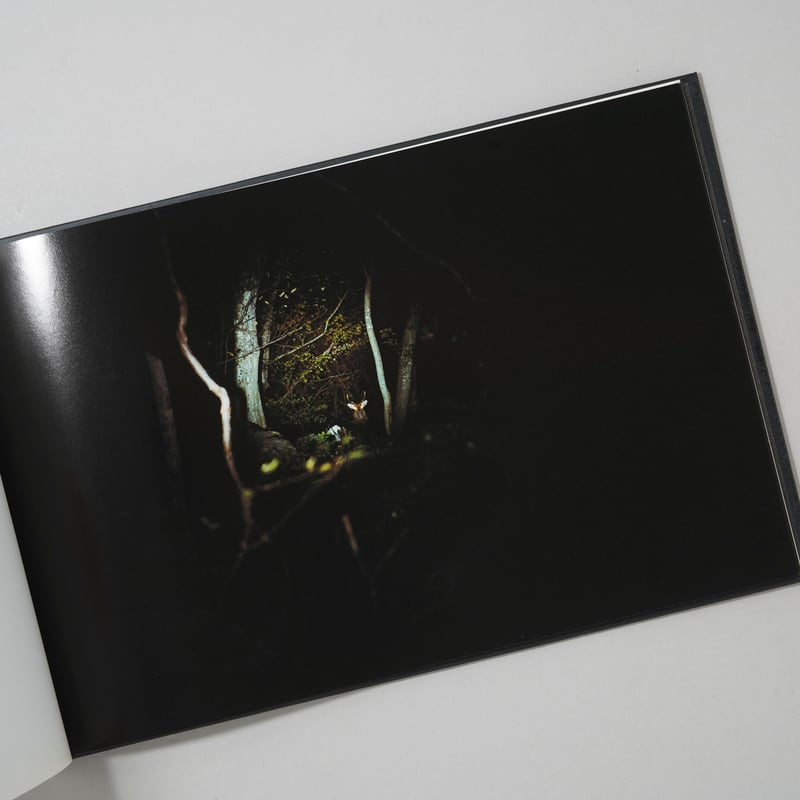 CATEGORY ーused | bookobscura｜写真集専門書店｜写真家による