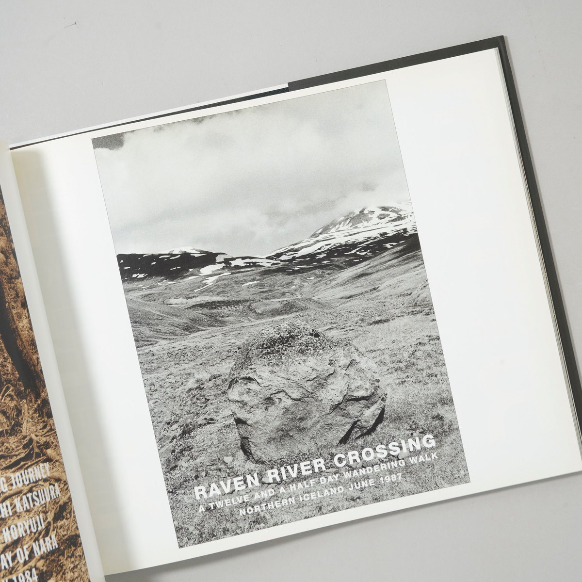 BIRD SONG /HAMISH FULTON ハミッシュフルトン（サイン本） WALKING ARTIST / Hamish Fulton(ハミッシュ・フルトン) | bo