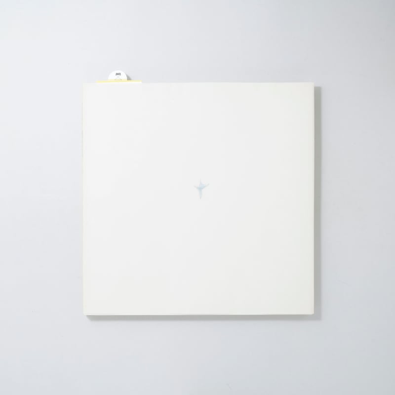 サイン入/Signed]写真 / 柳沢信(Shin Yanagisawa) | bookob