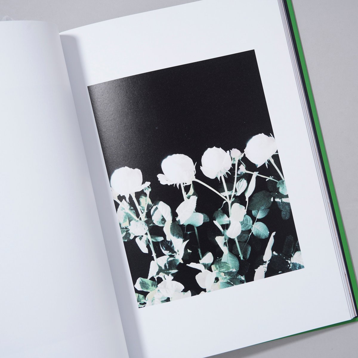 Stills / Aly Saab | bookobscura|写真集専門書店|写真家 Stills / Aly Saab | bookobscura|写真集専門書店|写真家