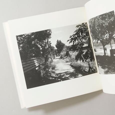 午後の最後の日射 / 渡部さとる(Satoru Watanabe)