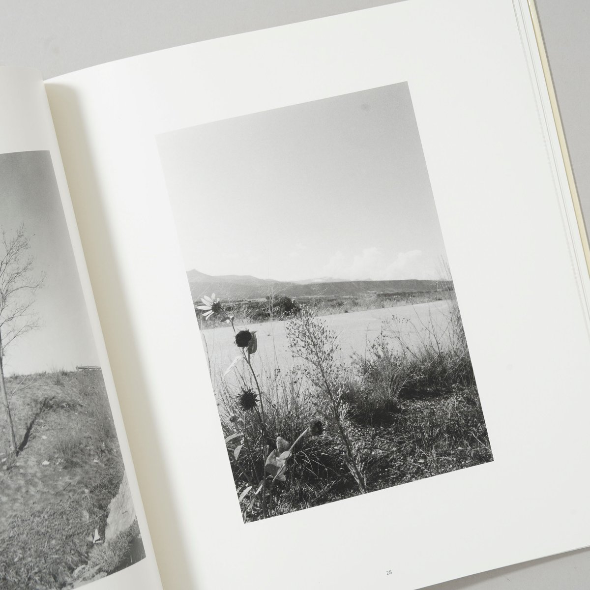notes for friends / Robert Adams(ロバート・アダムス) | b