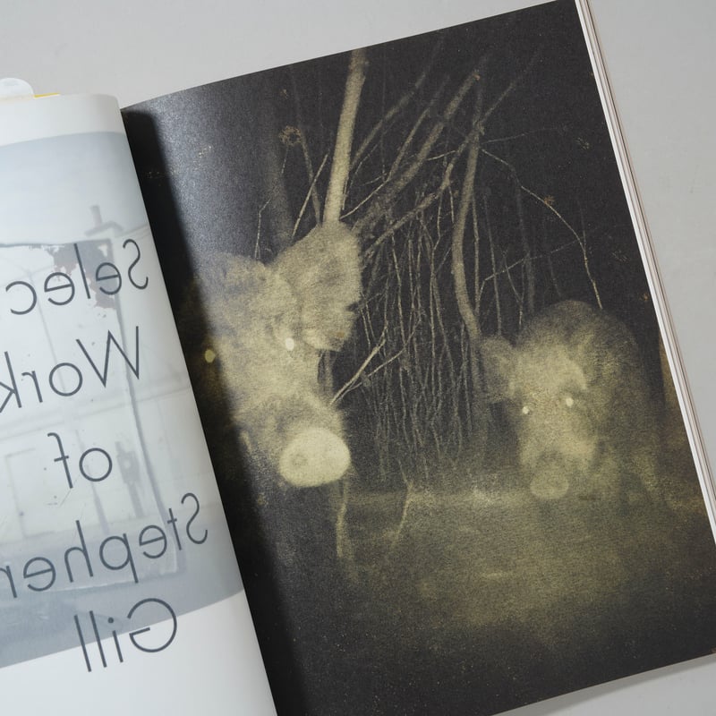 IMA 2019 Summer Vol. 28 スティーブン・ギル IMA 2019 Summer Vol.28 スティーブン・ギルのすべて / Stephen