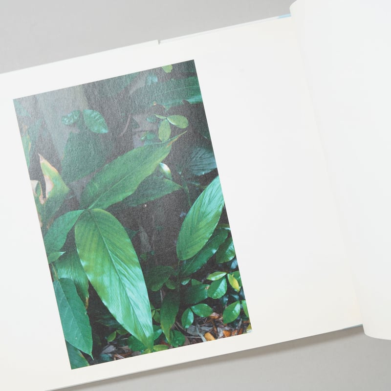 上田義彦　島へ　写真集 島へ｜青幻舎 SEIGENSHA Art Publishing, Inc.