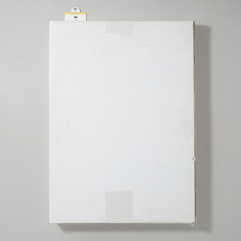 ★VISIONAIRE 29★ビジョネア★No.29★WOMEN★ VISIONAIRE 29 WOMAN / 荒木経惟, Cindy Sherman, Nan