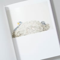 [新刊/New]Des oiseaux (On birds) / 川内倫子(Rinko Kawauchi)