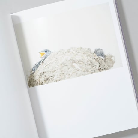 [新刊/New]Des oiseaux (On birds) / 川内倫子(Rinko Kawauchi)