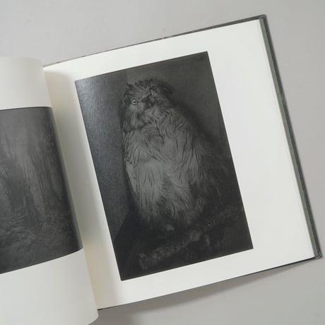 [サイン入/Signed] 島影 / 白石ちえこ(Chieko Shiraishi)