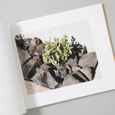 WINSLOW ARIZONA / Stephen Shore(スティーブン・ショア)