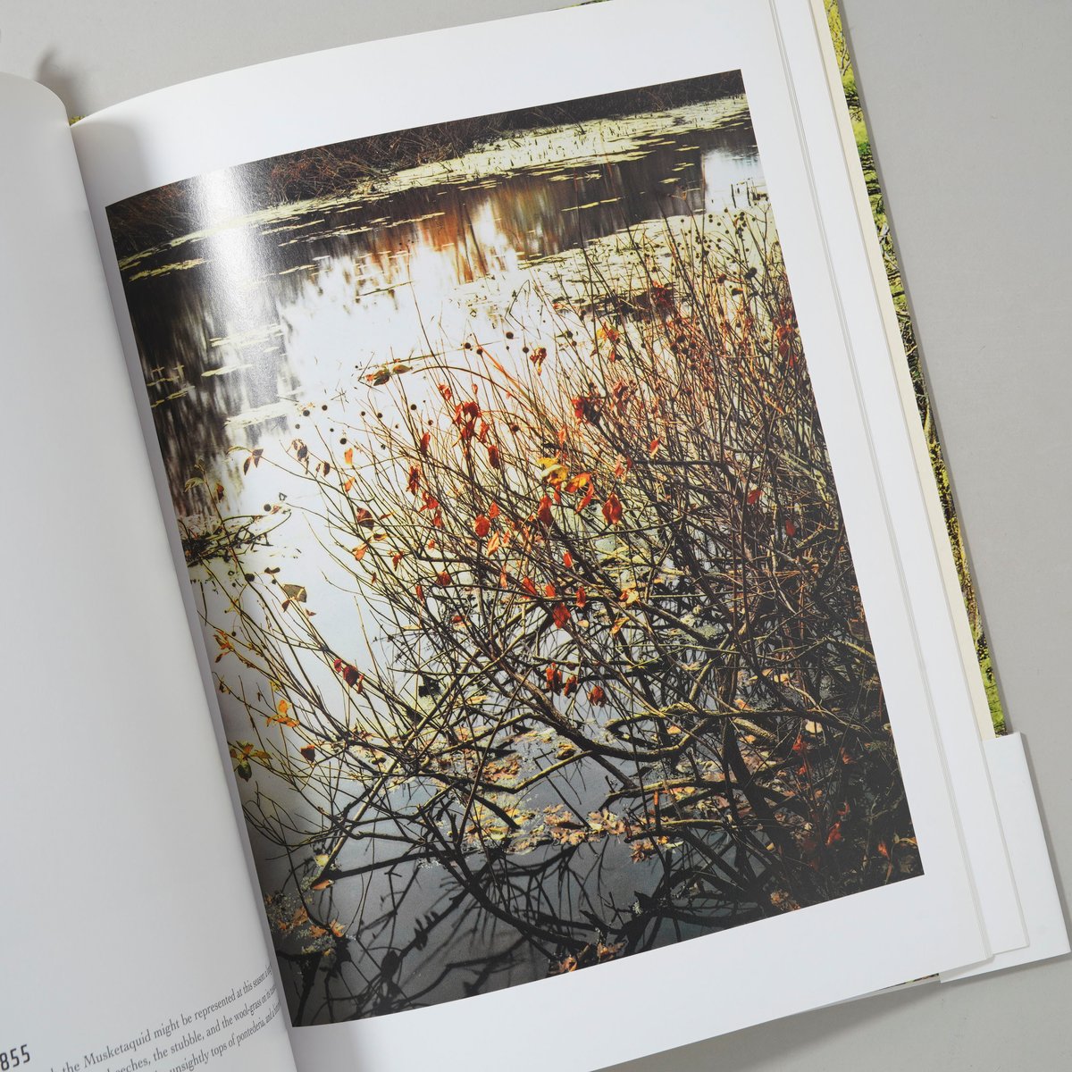 ELIOT PORTER 写真集　英語 In Wildness Is the Preservation / Eliot Porter(