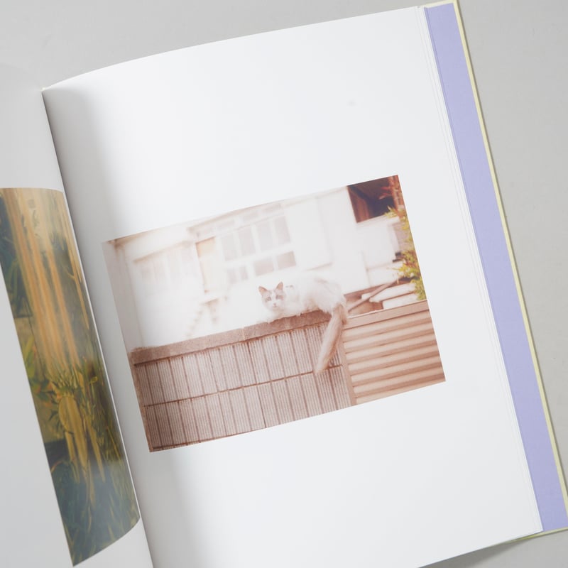 新刊/New] この柔らかい箱をここに置くよ / 熊谷聖司(Seiji Kumagai) |