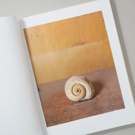 [新刊/New] MORANDI'S OBJECTS. THE COMPLETE ARCHIVE OF CASA MORANDI  / Joel Meyerowitz (ジョエル・マイロウィッツ)