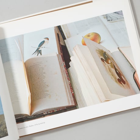 Bello qui, non e vero? / Luigi Ghirri(ルイジ・ギッリ)