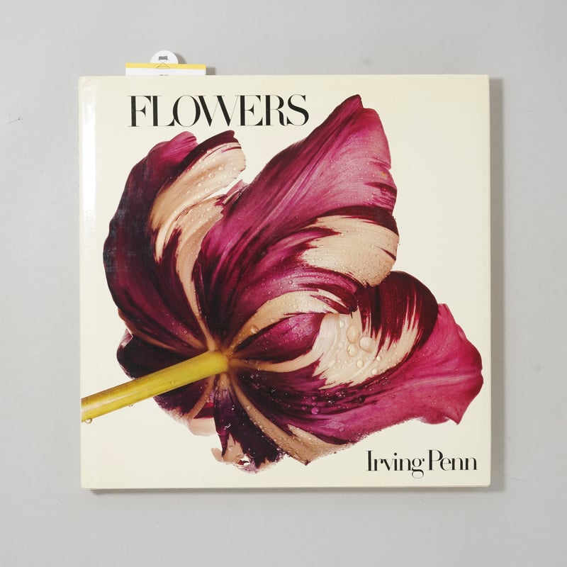 CATEGORY 写真集 ｜ Photography | bookobscura｜写真集専門書