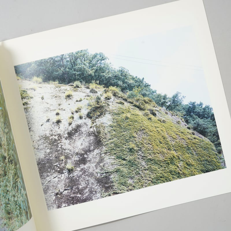 通学路 和歌山県 / 鈴木理策(Risaku Suzuki) | bookobscura｜写真