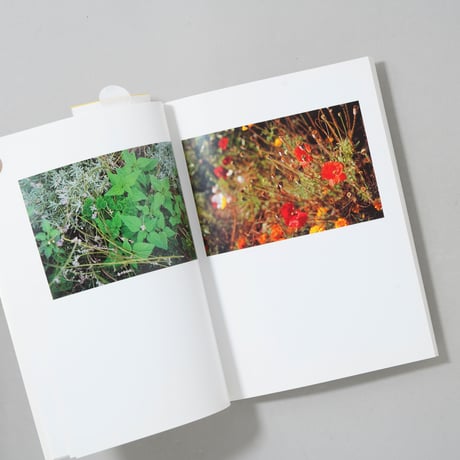 Garten / Peter Fischli(ペーター・フィッシュリ),David Weiss(ダヴィッド・ヴァイス)