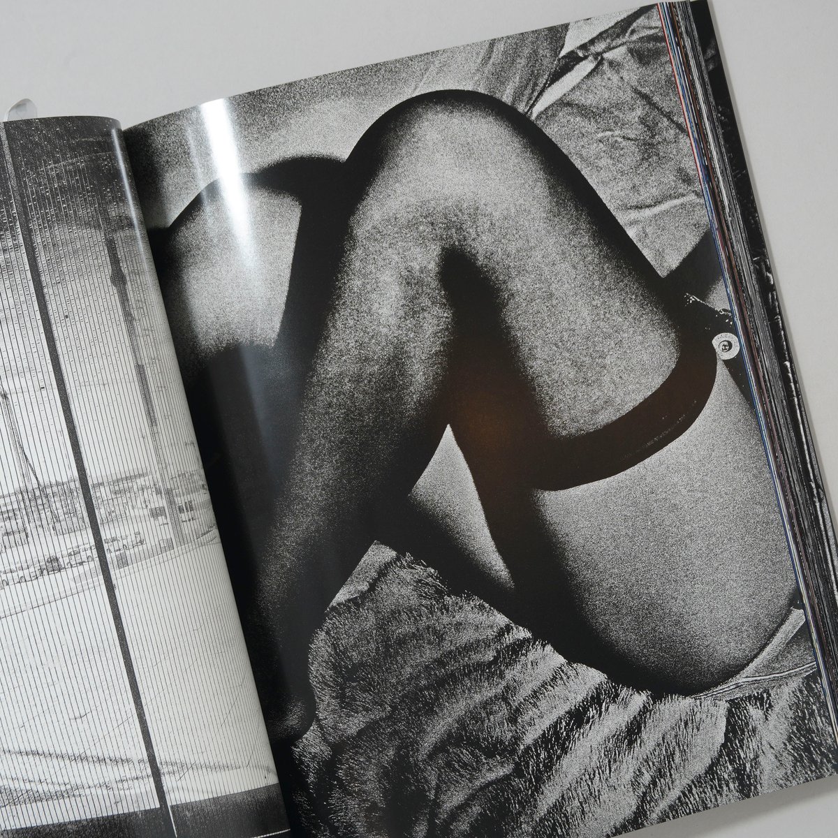 Daido Moriyama: Record 記録 / 森山大道(Daido Moriyama