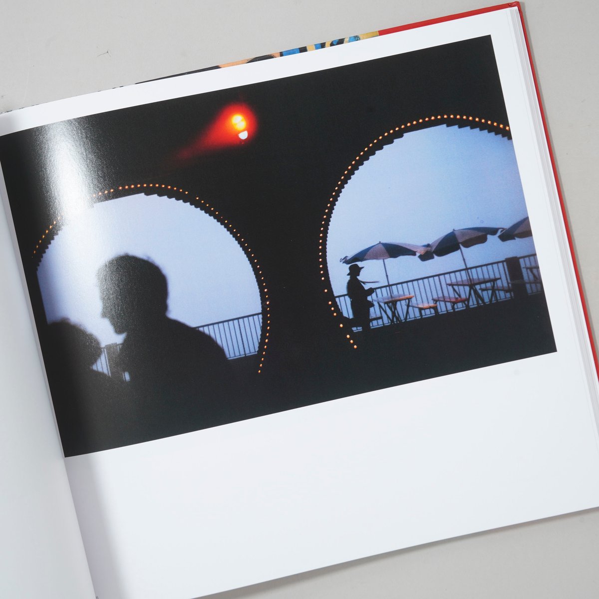 The Suffering of Light : Thirty Years of Photog