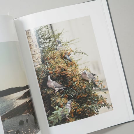 Spidernets Places A Crew・Waiting Some Birds A Bus A Woman / Anders Edstrom（アンダース・エドストロム）