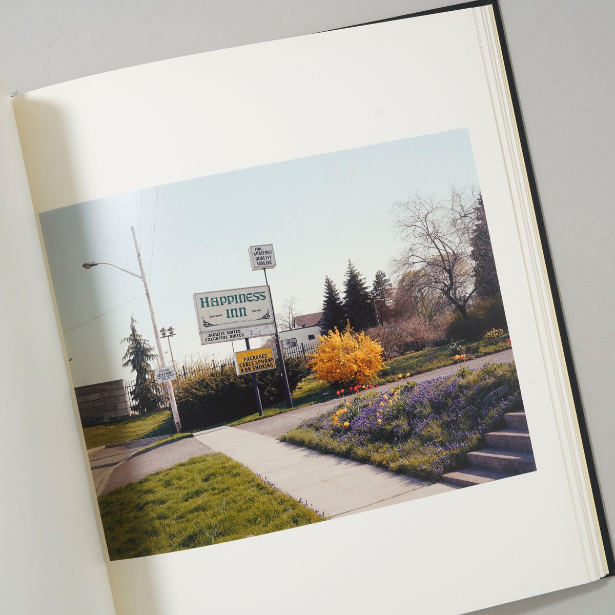 NIAGARA / Alec Soth(アレック・ソス) | bookobscura｜写真集専