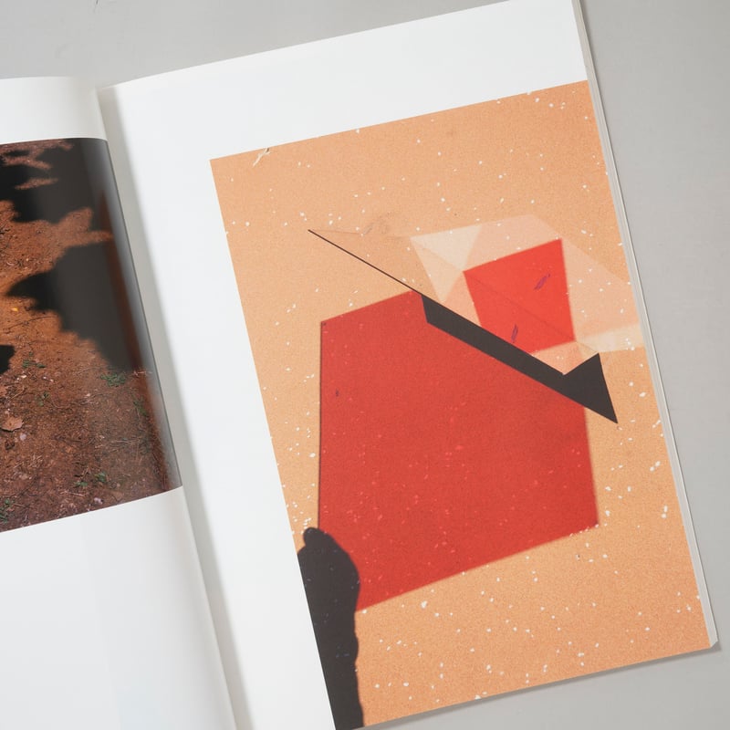 Umbra / Viviane Sassen(ヴィヴィアン・サッセン) | bookobscu