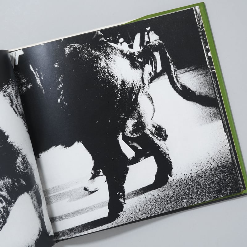 ソノラマ写真選書6 続にっぽん劇場 写真帖 Japan, a Photo ソノラマ写真選書6 続にっぽん劇場 写真帖 Japan, a Photo