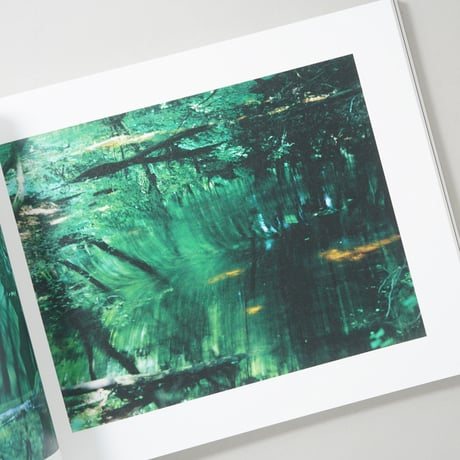写真と絵画−セザンヌより 柴田敏雄と鈴木理策 / 柴田敏雄(Toshio Shibata)、鈴木理策(Risaku Suzuki)