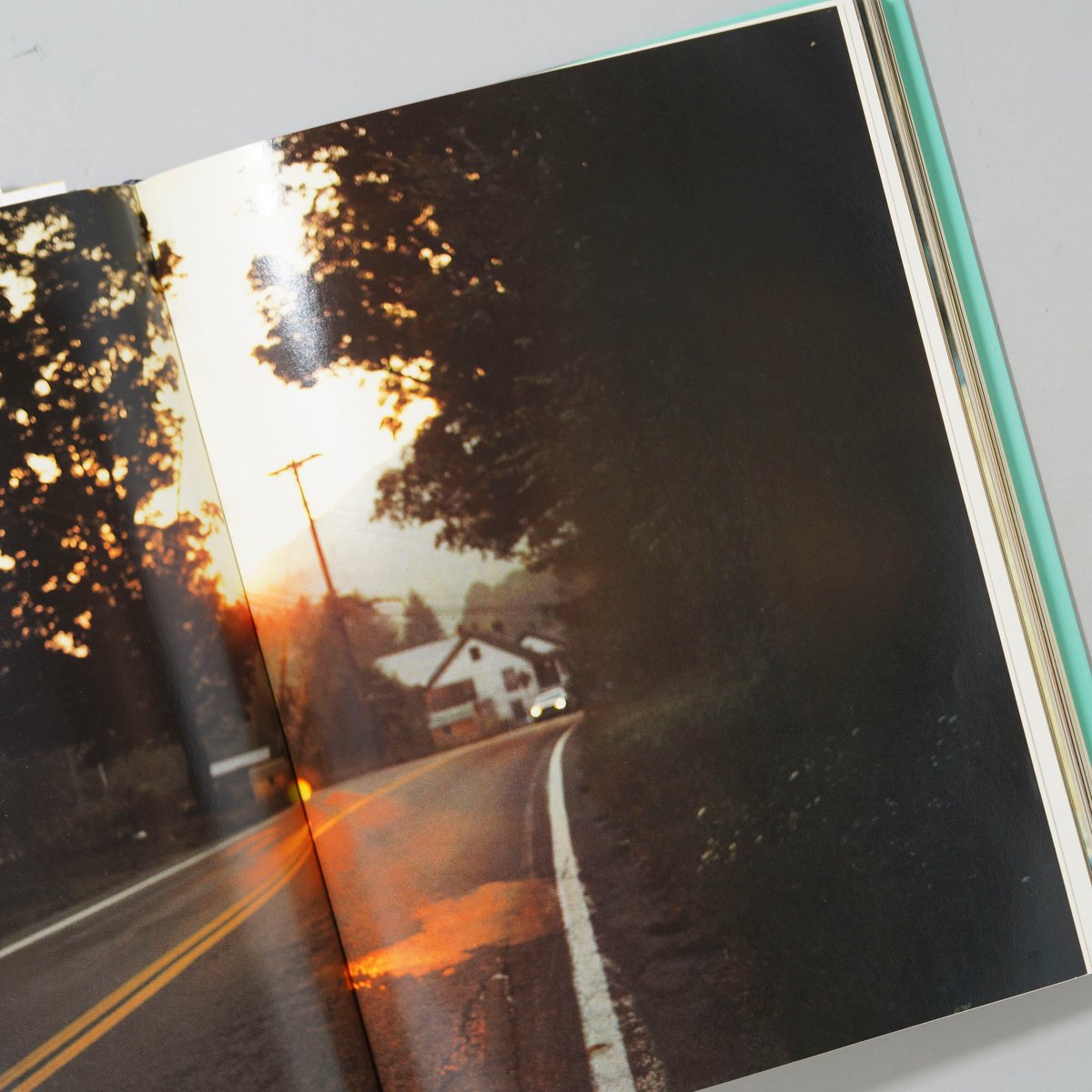 I'll Be Your Mirror / Nan Goldin(ナン・ゴールディン) | b