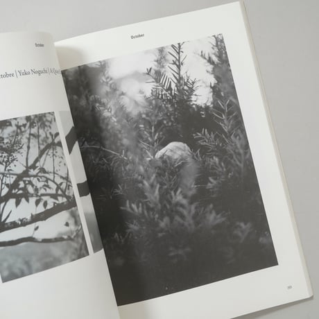 Les Chroniques Purple / Elein Fleiss, ホンマタカシ, Ola Rindal, Anders Petersenほか