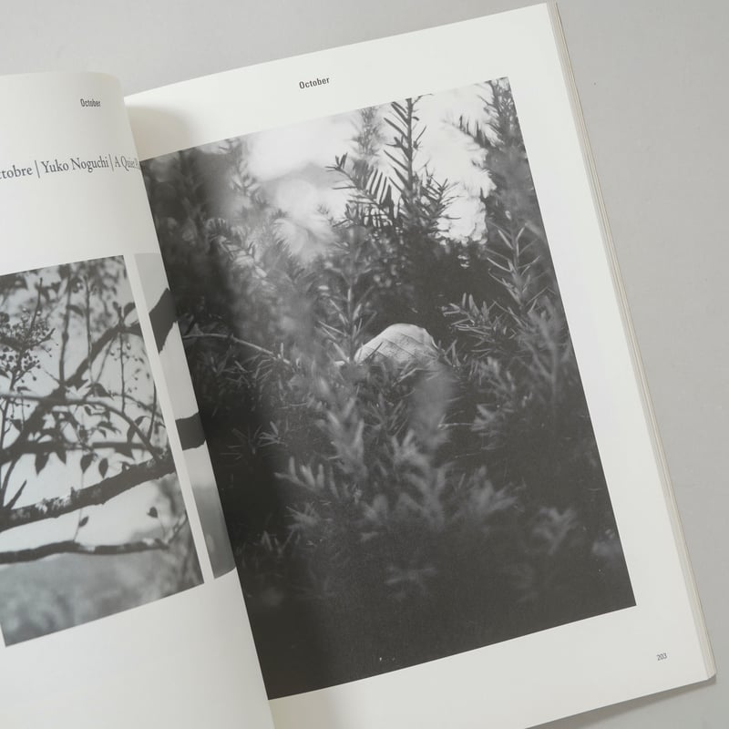 Les Chroniques Purple / Elein Fleiss, ホンマタカシ, O