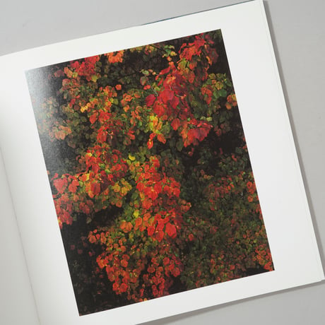 LOUIS VUITTON FOREST / 瀧本幹也(Mikiya Takimoto)