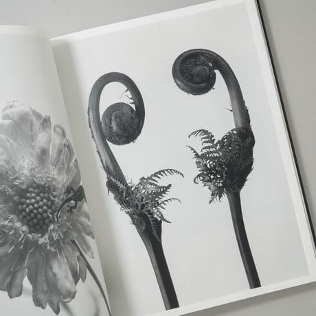 花人生 特別装丁版 / 荒木経惟(Nobuyoshi Araki)