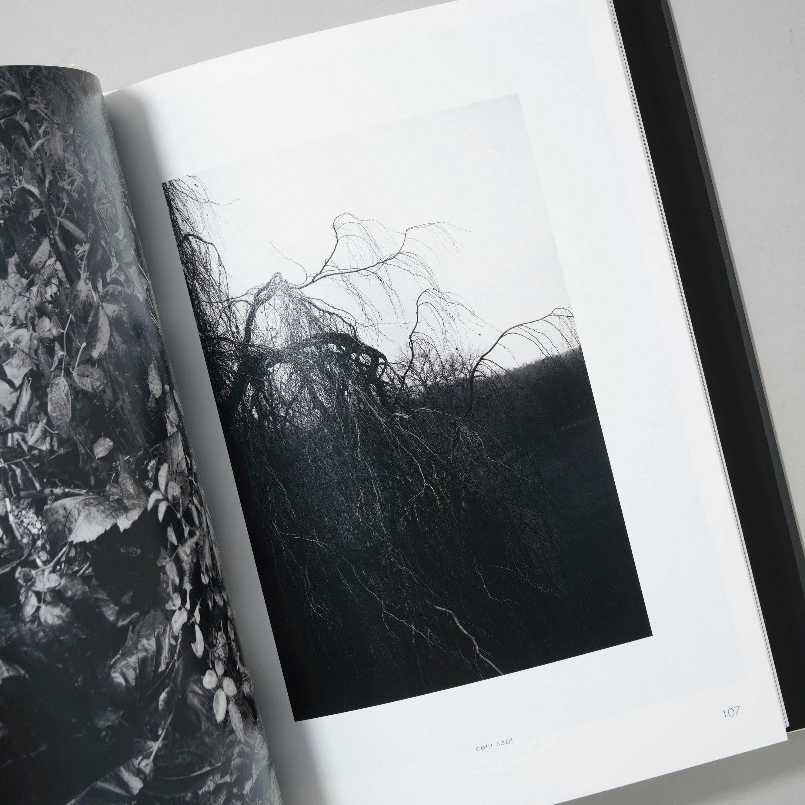 サイン入/Signed]LEICA / 野村誠一(Seiichi Nomura) | boo