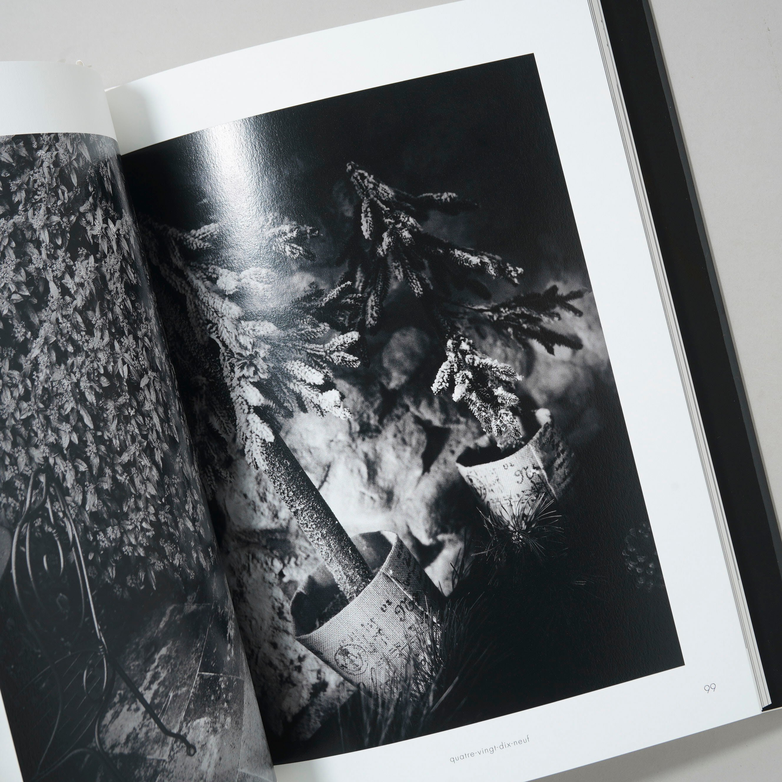 野村誠一 LEICA APO-SUMMICRON 写真集 サイン入り サイン入/Signed]LEICA / 野村誠一(Seiichi Nomura) | boo