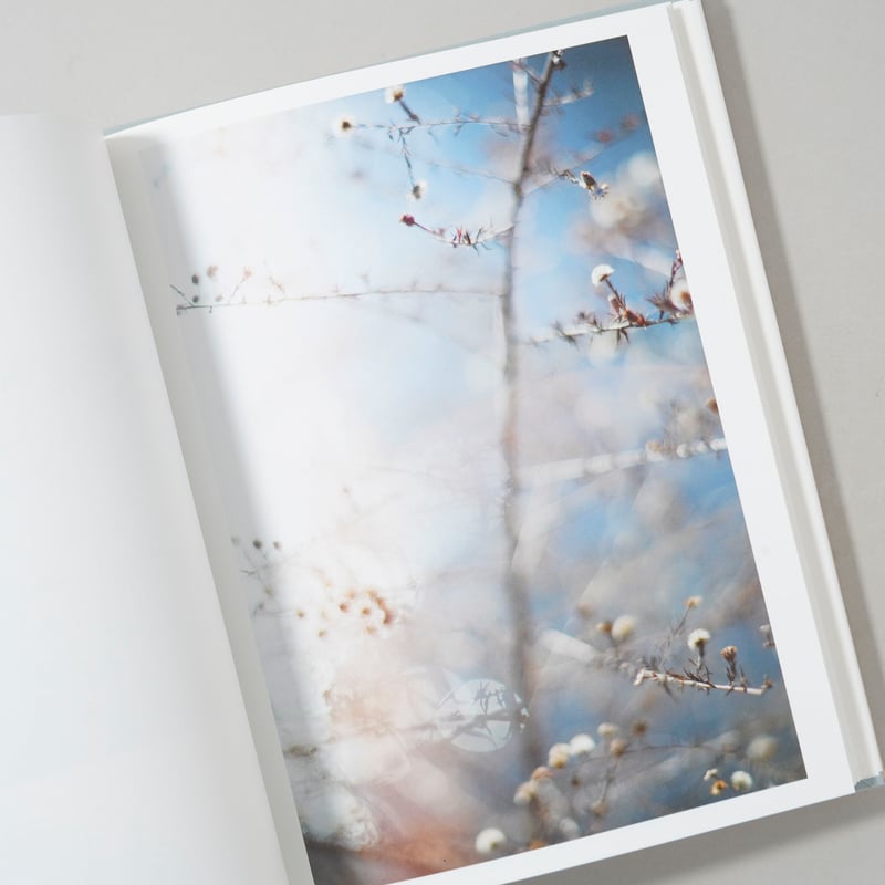 川内倫子 テリ・ワイフェンバックTerri Weifenbach 写真集Gift Gift / 川内倫子(Rinko Kawauchi)、Terri Weifenbach(テリ