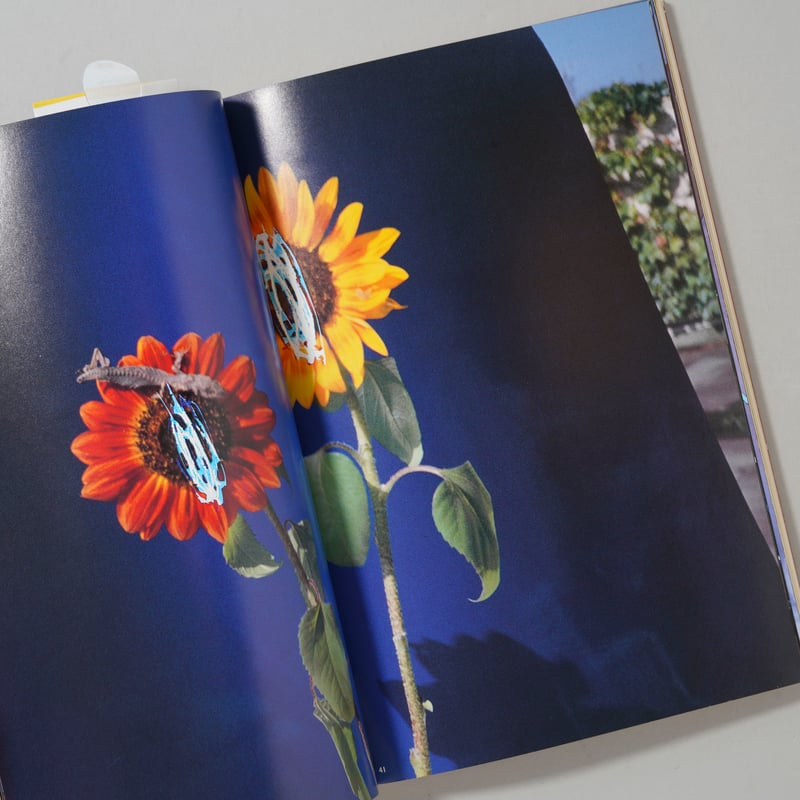 荒木経惟写真全集 第14巻 猥褻寫眞と濹汁綺譚 / 荒木経惟(Nobuyoshi