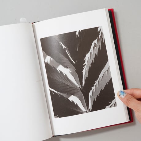 IMOGEN CUNNINGHAM THE MODERNIST YEARS イモジン・カニンハム写真集 モダニストの時代