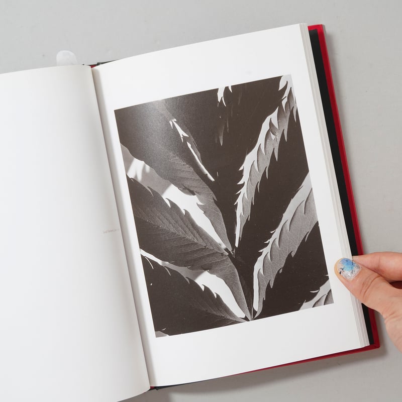 CATEGORY 写真集 ｜ Photography | bookobscura｜写真集専門書