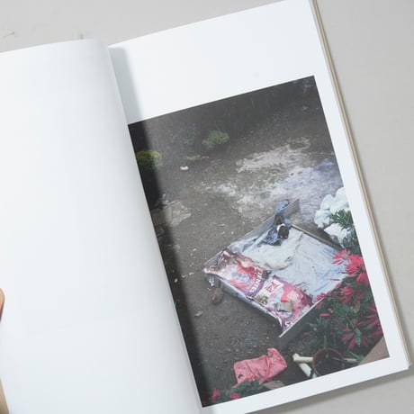 [新刊/New] BTS / ホンマタカシ(Takashi Homma)