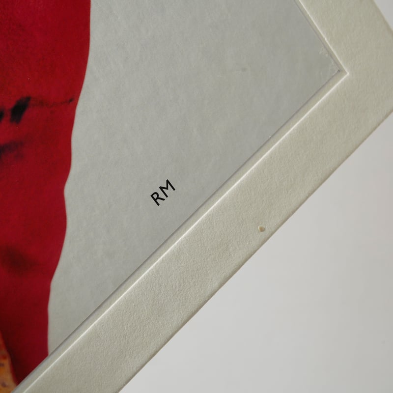 Frida by Ishiuchi / 石内都(Miyako Ishiuchi) | book