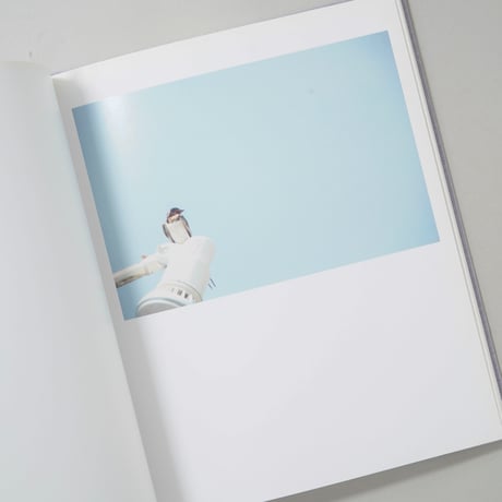 [サイン入/Signed] Des oiseaux (On birds) / 川内倫子(Rinko Kawauchi)