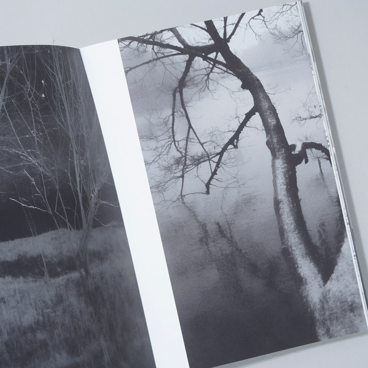 新刊サイン入/New,Signed] Beyond What You See / 渡部敏哉(