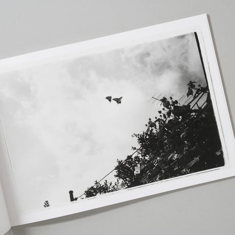 特装版 去年の写真 Last Year's Photographs / 荒木経惟 (Nobuyoshi Araki)