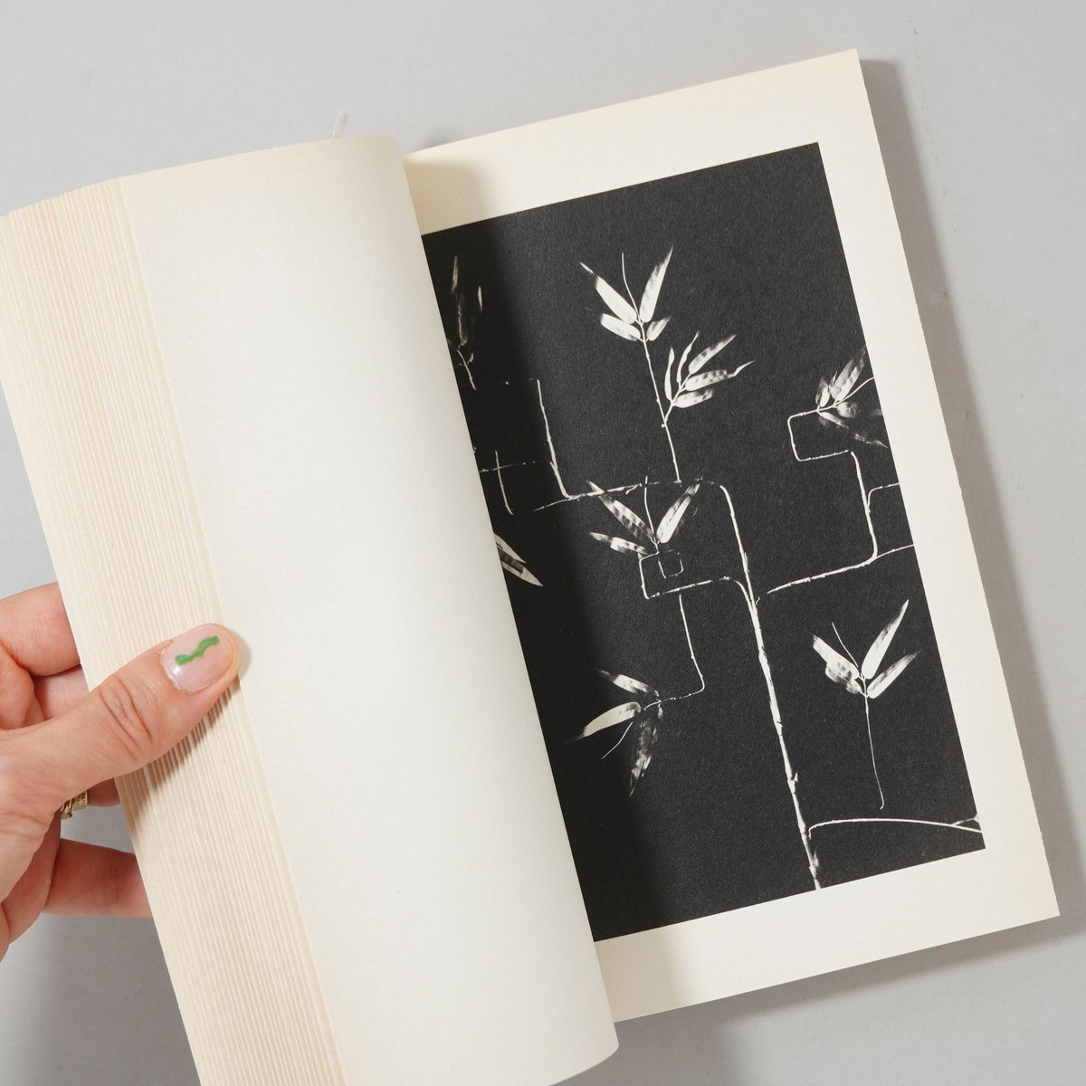 高橋秀「版画集αからω 天真爛漫」銅版画他 直筆サイン入 天満屋版画展展示作 高橋秀「版画集αからω 黄金の秋」銅版画他 直筆サイン入 天満屋