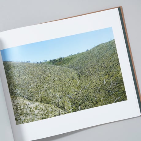 [新刊/New]TOPOGRAPHIES: AERIAL SURVEYS OF THE AMERICAN LANDSCAPE / Stephen Shore(スティーブン・ショア)